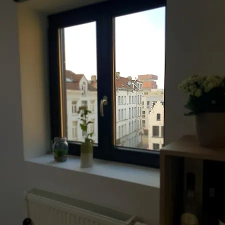 Uitzicht Op Het Mas *
